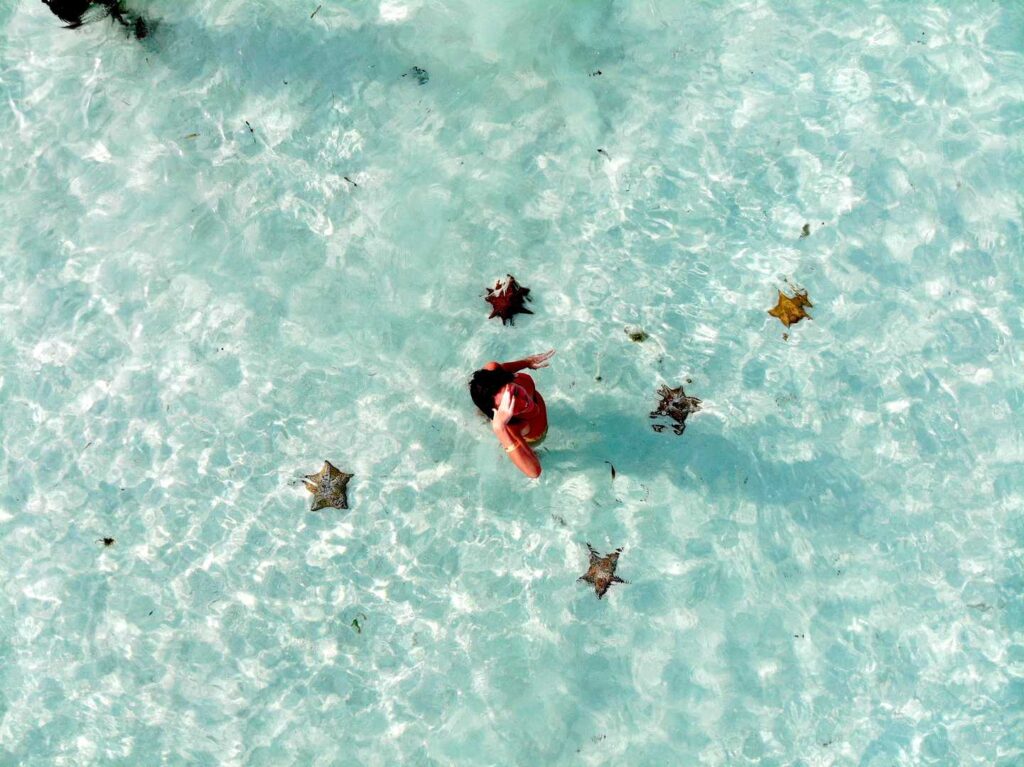 created by dji camera