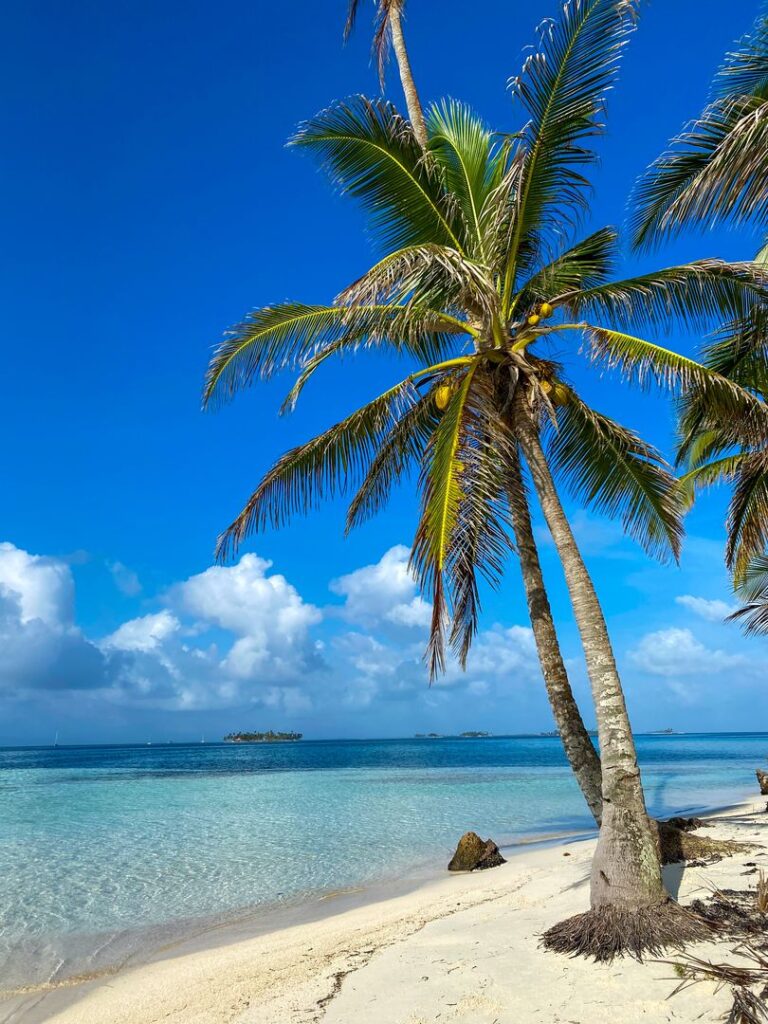 Palm-Beach-on-San-Blas-Islands-in-Panama