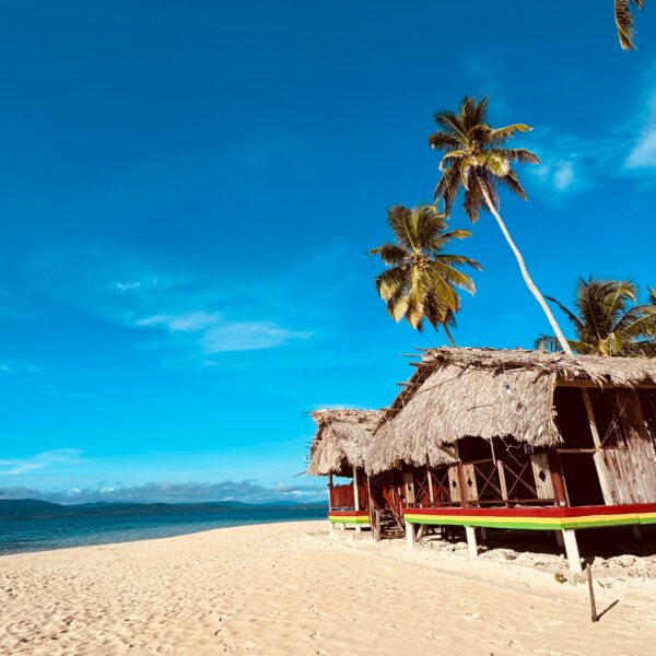 WhatsApp Image 2024-11-04 at 13.25.22 (1)