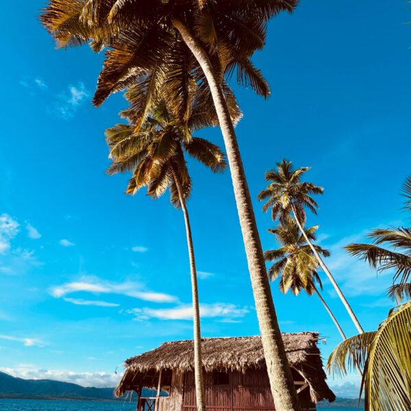 WhatsApp Image 2024-11-04 at 13.25.22 (2)