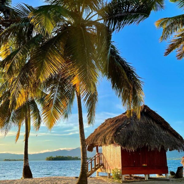 WhatsApp Image 2024-11-04 at 13.25.22