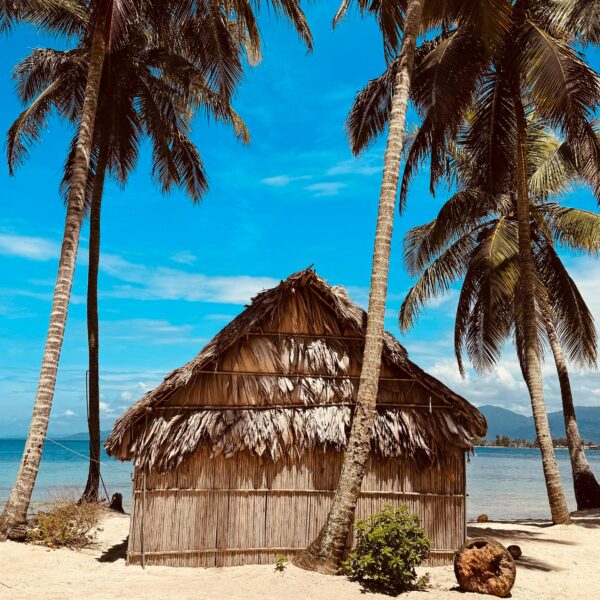 WhatsApp Image 2024-11-04 at 13.25.23