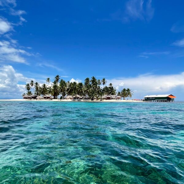 WhatsApp Image 2024-11-04 at 13.25.24 (2)