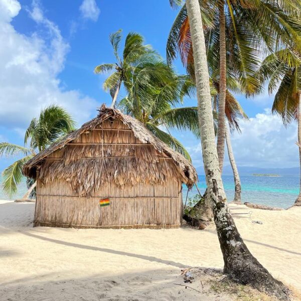 WhatsApp Image 2024-11-04 at 13.25.24 (4)