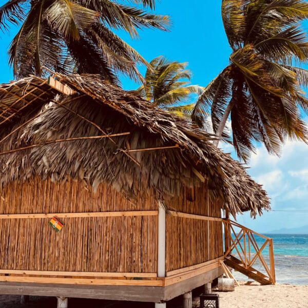 WhatsApp Image 2024-11-04 at 13.25.24