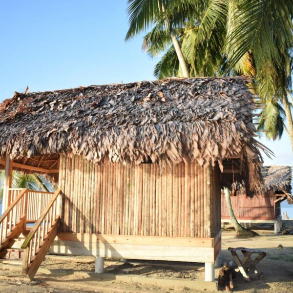 WhatsApp Image 2024-11-04 at 13.25.25