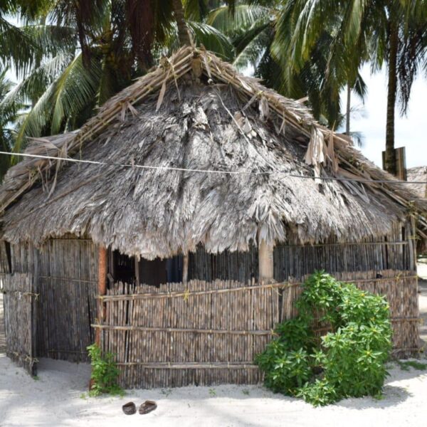 WhatsApp Image 2024-11-04 at 13.25.26