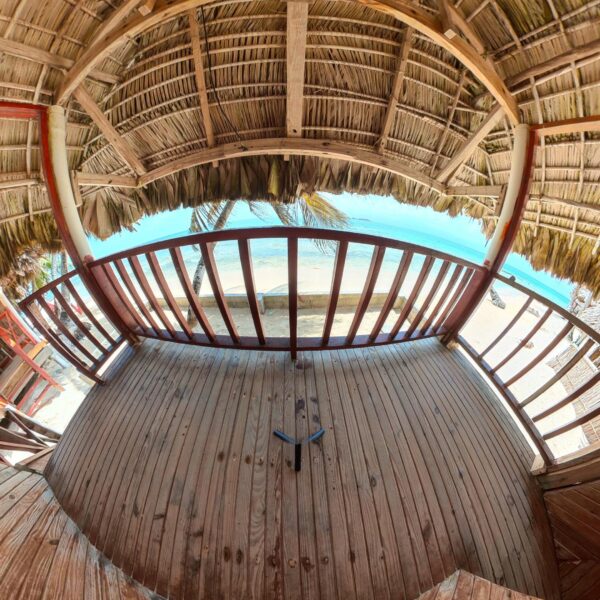 WhatsApp Image 2024-11-04 at 14.43.24