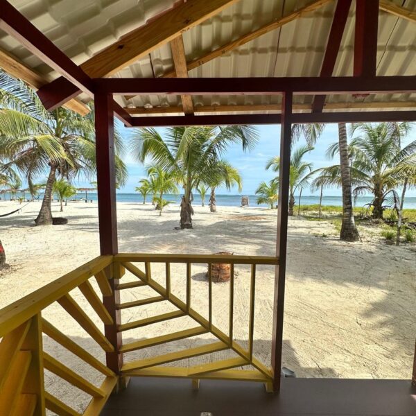 38eee8c9-63e7-4c06-aff2-58477a8ee7fd