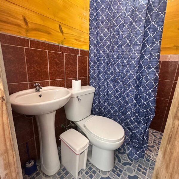 9027d241-f5bd-42e2-a97a-b0176b7927fd